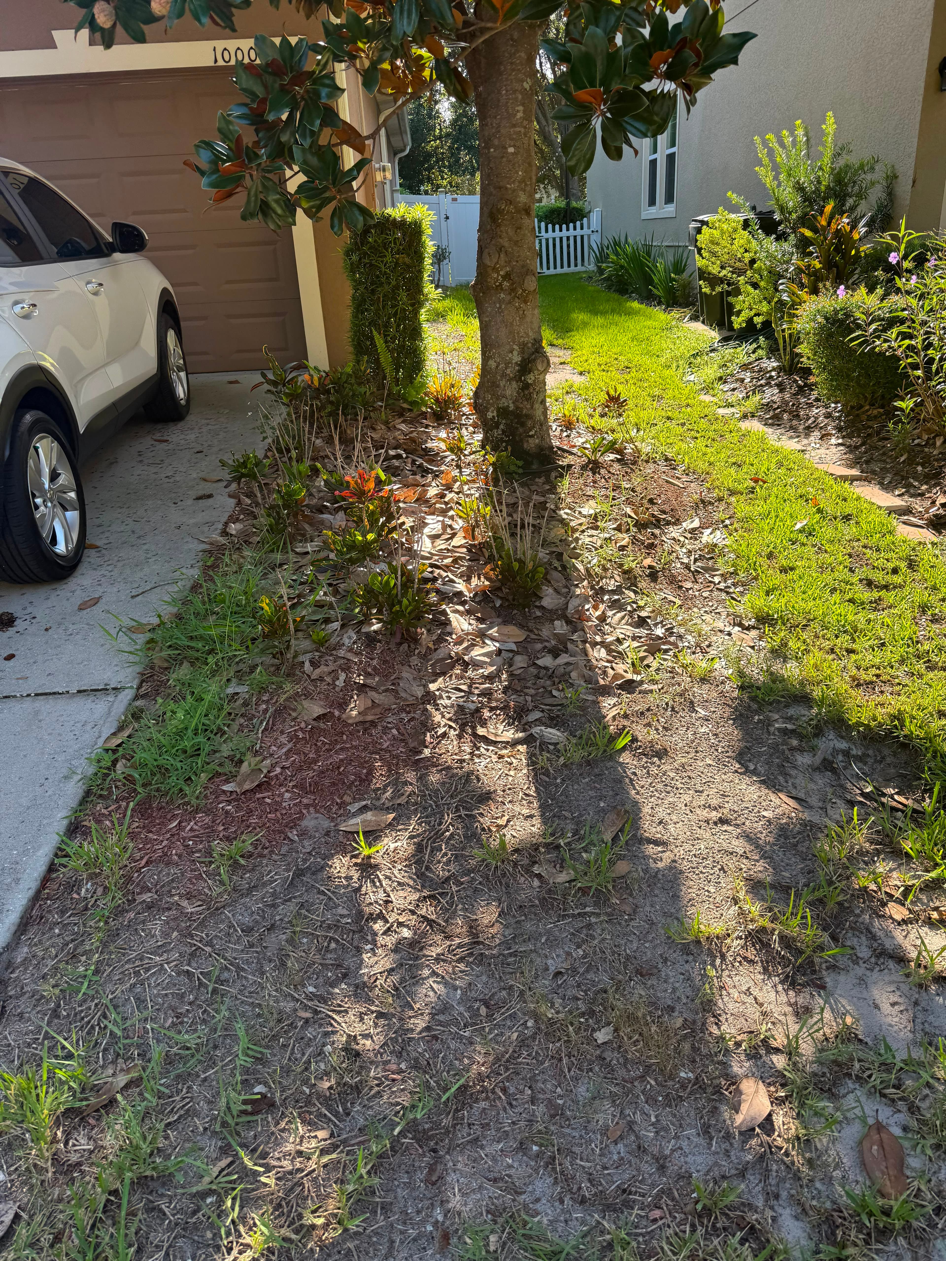 Mulch Installation before