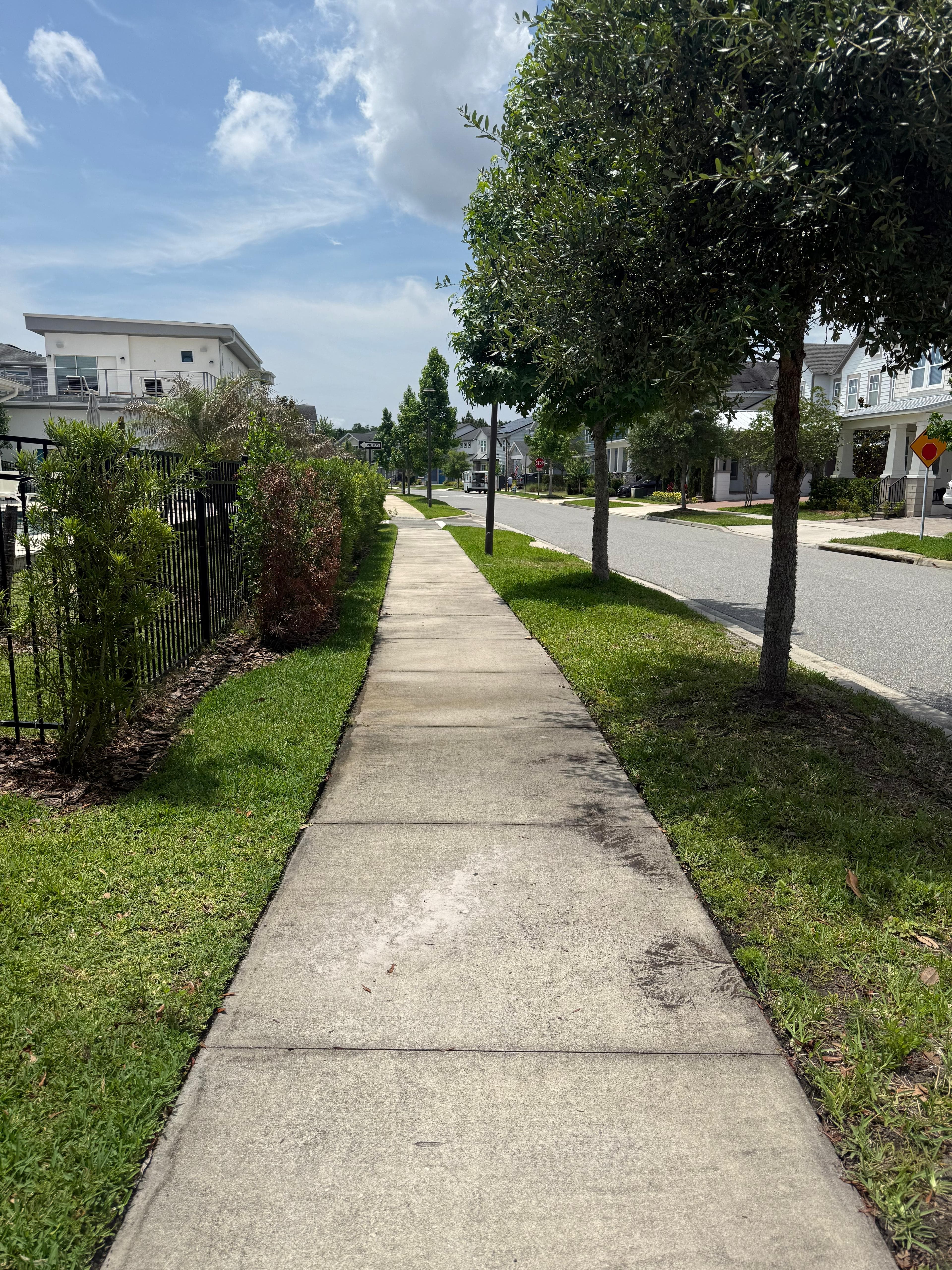 Sidewalk & Walkway before